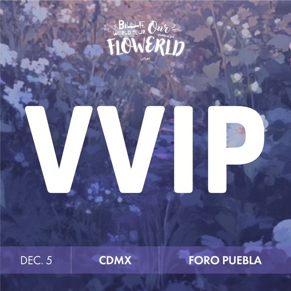 BILLLIE - CDMX - VVIP BENEFIT PACKAGE